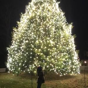 Meet your Posher, Noelle